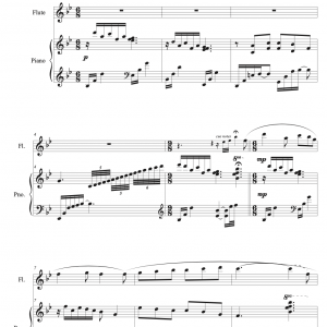 It Came Upon a Midnight Clear - Flute Solo